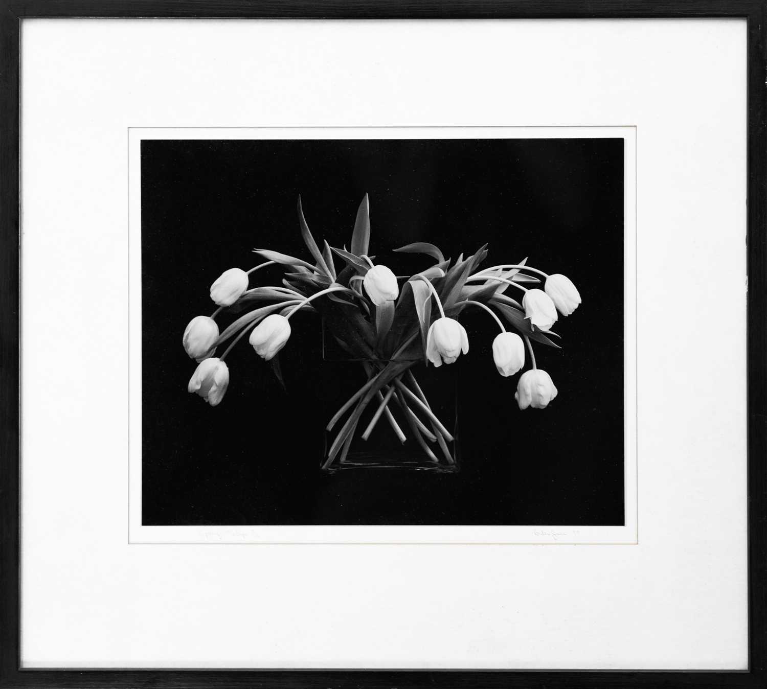 Lot 113 - Ander GUNN (XX-XXI)