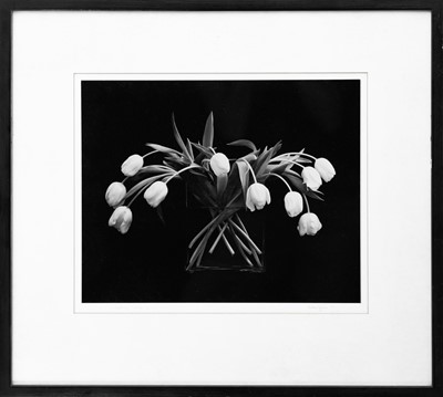 Lot 113 - Ander GUNN (XX-XXI)