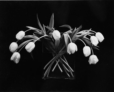 Lot 113 - Ander GUNN (XX-XXI)