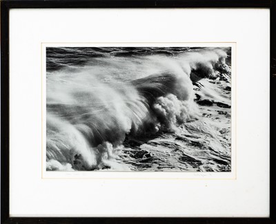 Lot 103 - Ander GUNN (XX-XXI)