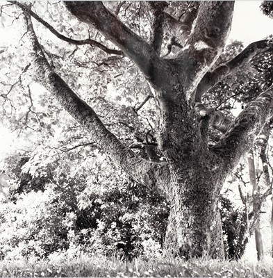 Lot 124 - Ander GUNN (XX-XXI)