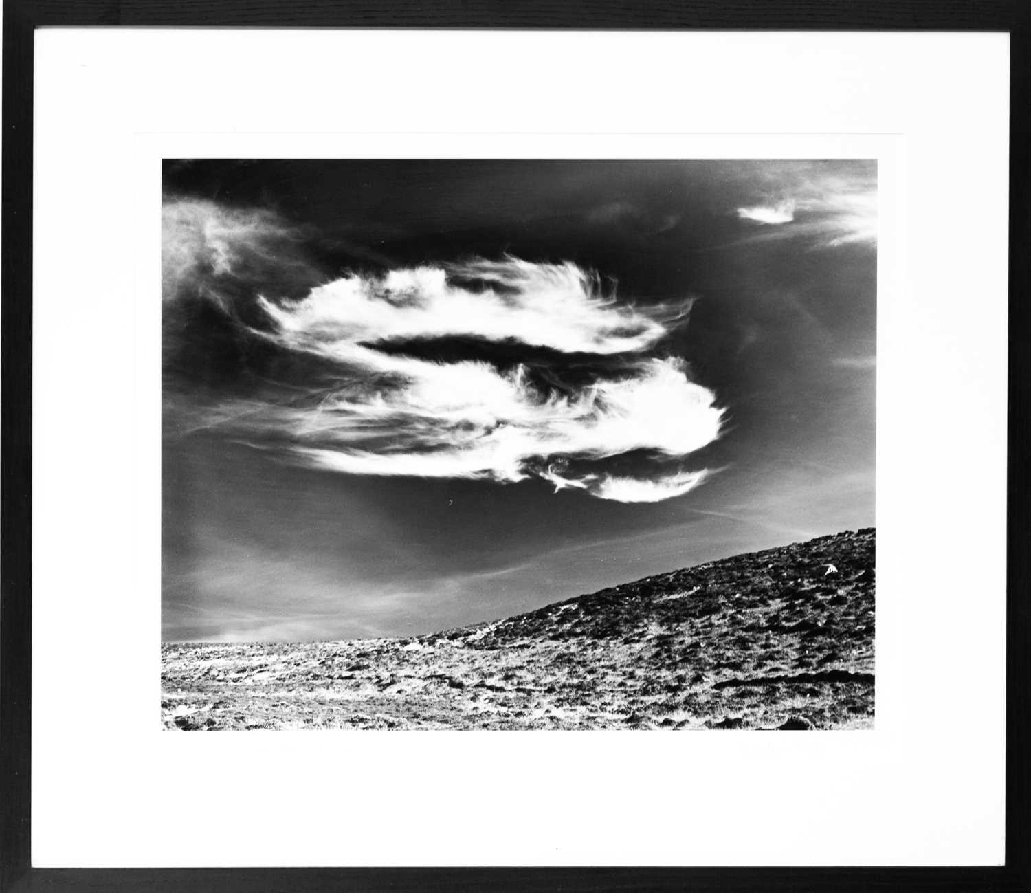 Lot 115 - Ander GUNN (XX-XXI)