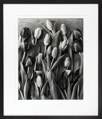 Lot 126 - Ander GUNN (XX-XXI)