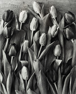 Lot 126 - Ander GUNN (XX-XXI)