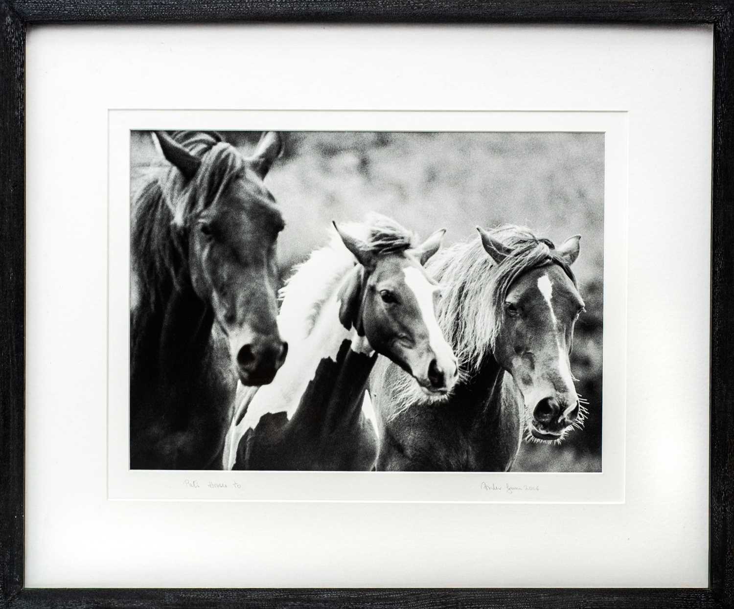 Lot 114 - Ander GUNN (XX-XXI)