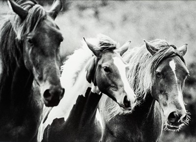 Lot 114 - Ander GUNN (XX-XXI)