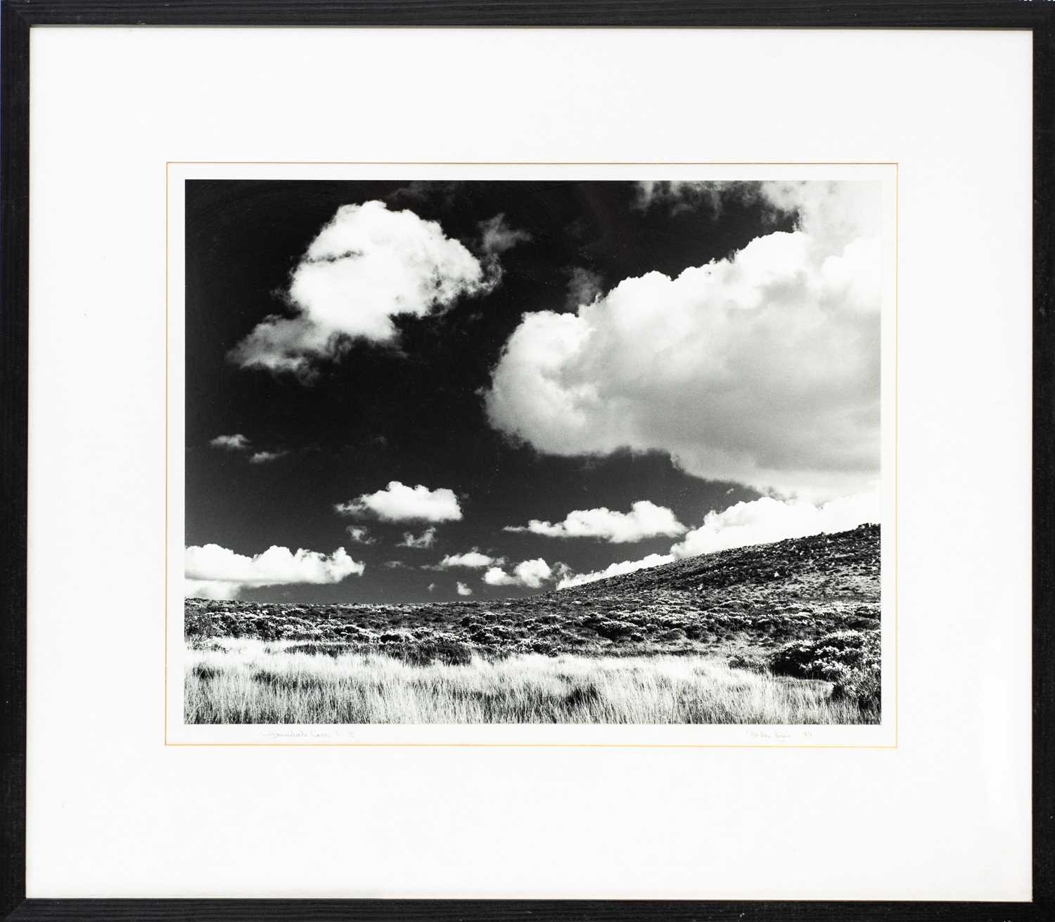 Lot 118 - Ander GUNN (XX-XXI)