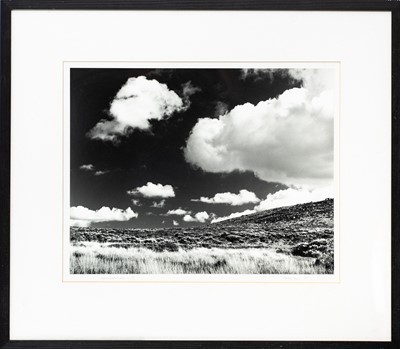 Lot 118 - Ander GUNN (XX-XXI)