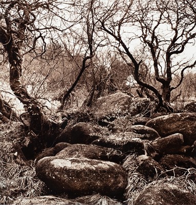 Lot 111 - Ander GUNN (XX-XXI)