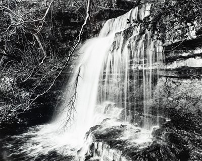 Lot 122 - Ander GUNN (XX-XXI)