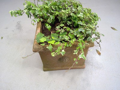 Lot 40 - A 34cm Square by 29cm Tall Terracotta Planter.