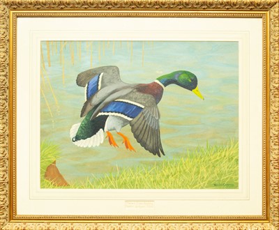 Lot 387 - Ralston GUDGEON (1910-1984)