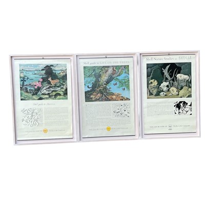 Lot 35 - Three framed shell guide posters.
