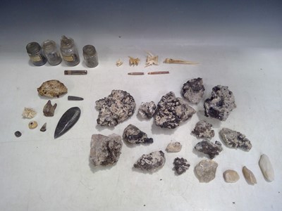 Lot 27 - A Selection of Minerals, Fossils and Natural...