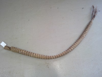 Lot 38 - A Venezuelan Cassava Press. The Press is 180cm...