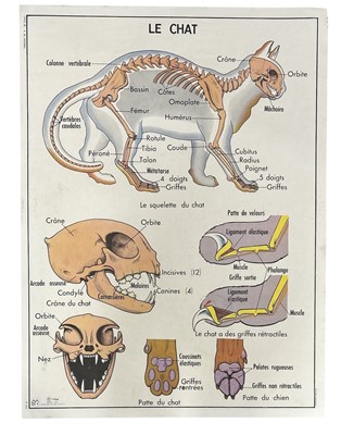 Lot 40 - A French reversible education poster, 'Le Chat...