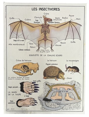Lot 44 - A French reversible education poster, 'Les...