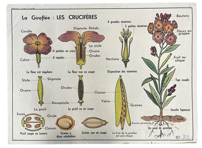 Lot 53 - A French reversible education poster, 'La...