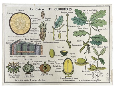 Lot 69 - A French reversible education poster, 'Le...