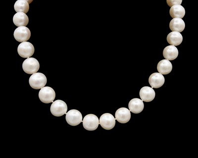Lot 75 - A large white cultured pearl choker.