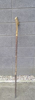 Lot 149 - A Hazel Walking Stick. The Stick is 136cm long.