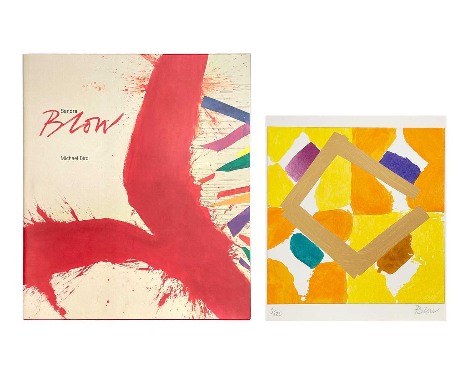 Lot 620 - Sandra Blow (1925-2006)