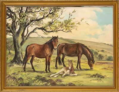 Lot Frances FRY (XX)