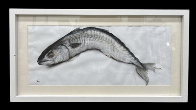 Lot 132 - A well-executed study of a mackerel, pencil on...