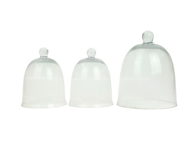 Lot 599 - Three glass garden cloches.