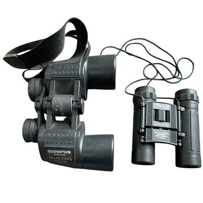 Lot 151 - Olympus 10 x 42 Binoculars and a pair of BSA...
