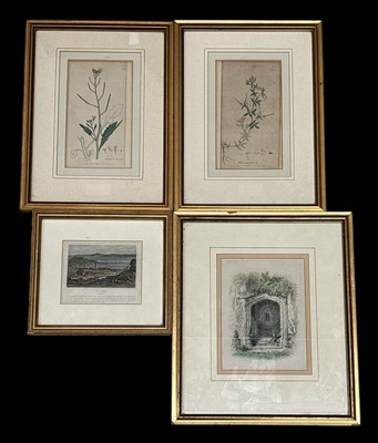 Lot 69 - 19th century hand-coloured engraving, one is...