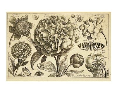 Lot 191 - Wenceslaus Hollar (1607-1677)