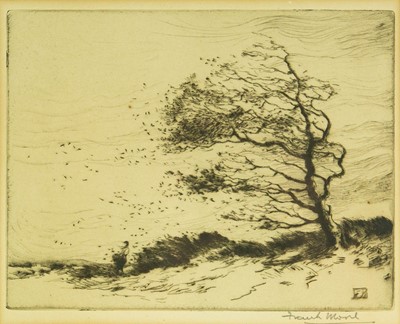 Lot 251 - Frank MOORE (1876 - ?)