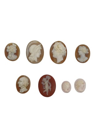 Lot 29 - A selection of seven unmounted shell cameos and one carnelian cameo.