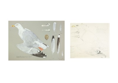 Lot Valentine Stewart 'Pat' PATON (1925-2012)