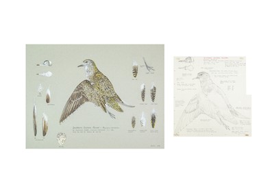 Lot 322 - Valentine Stewart 'Pat' PATON (1925-2012)