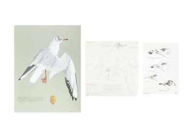 Lot 326 - Valentine Stewart 'Pat' PATON (1925-2012)