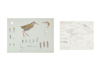 Lot 329 - Valentine Stewart 'Pat' PATON (1925-2012)