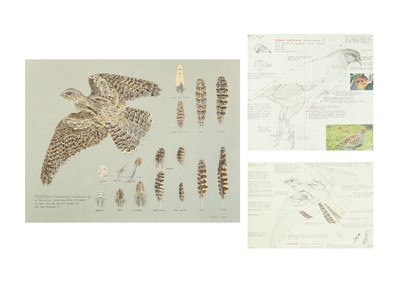 Lot 332 - Valentine Stewart 'Pat' PATON (1925-2012)