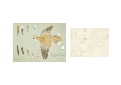 Lot 334 - Valentine Stewart 'Pat' PATON (1925-2012)