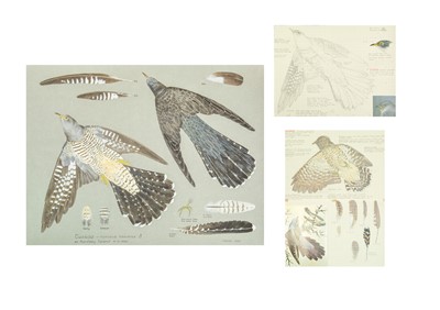 Lot 335 - Valentine Stewart 'Pat' PATON (1925-2012)