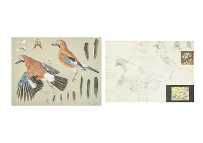 Lot 336 - Valentine Stewart 'Pat' PATON (1925-2012)