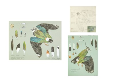 Lot 337 - Valentine Stewart 'Pat' PATON (1925-2012)