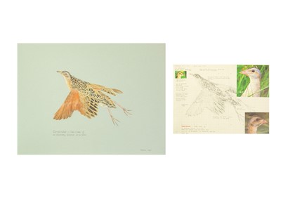 Lot 338 - Valentine Stewart 'Pat' PATON (1925-2012)