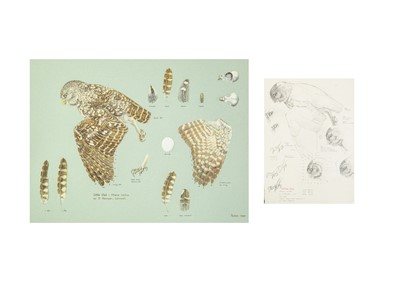 Lot 343 - Valentine Stewart 'Pat' PATON (1925-2012)