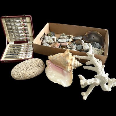 Lot 133 - A conch shell, a piece of coral, a pumice...