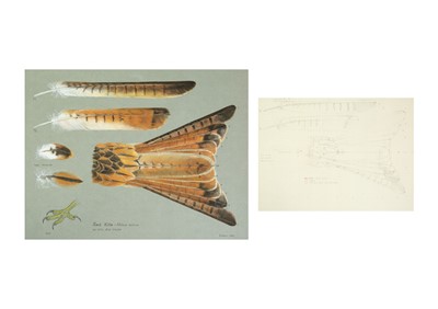 Lot 348 - Valentine Stewart 'Pat' PATON (1925-2012)