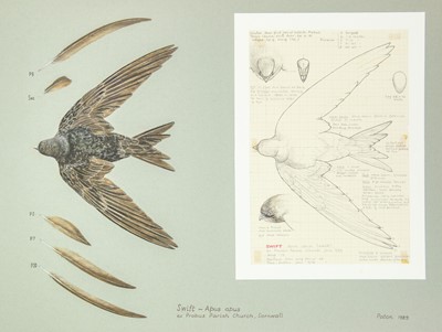 Lot 349 - Valentine Stewart 'Pat' PATON (1925-2012)