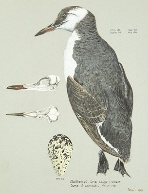 Lot 350 - Valentine Stewart 'Pat' PATON (1925-2012)