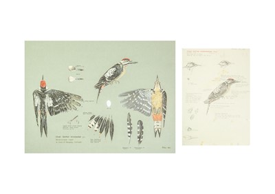 Lot 314 - Valentine Stewart 'Pat' PATON (1925-2012)